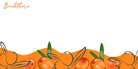 Colored border of sea buckthorn. © OlgaGersh