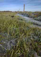 Frost ice. Winter at the es. Uffelte Drenthe Netherlands. Eslandschap. Frozen grass.