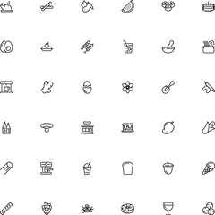 icon vector icon set such as: botany, vegan, dough, shashlik, sashimi, retro, kabob, abstract, tart, technology, beef, champagne, orecchiette, ravioli, rigatoni pasta shape, shell, seasonal