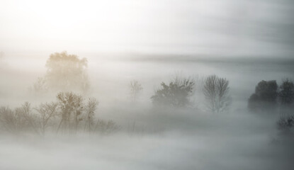 Obraz na płótnie Canvas Atmospheric landscape covered with autumn mist
