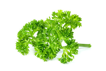 Parsley leaf or Petroselinum crispum leaves isolated on white background ,Green leaves pattern