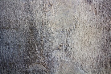 evocative image of plaster texture of ancient wall