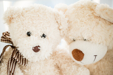Close up view of pair of plush teddy bears