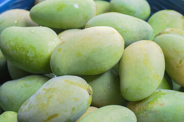 fresh mango tropical fruit background