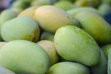 fresh mango tropical fruit background