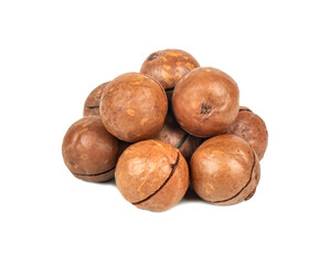 Bunch of macadamia nuts