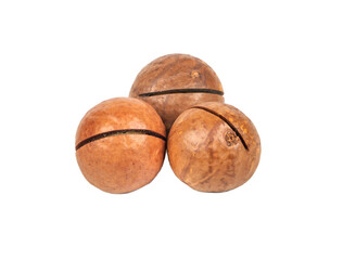 Three macadamia nuts
