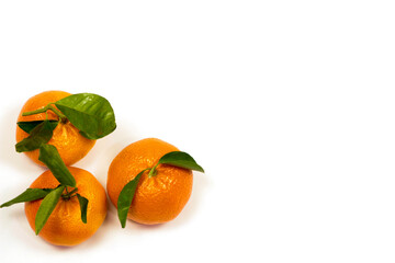 Three tangerines with green leaves on white background