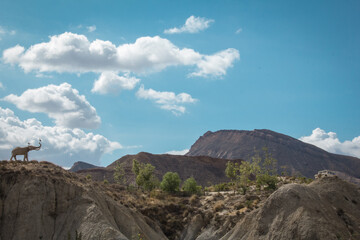 West Theme Park, Oasys MiniHollywood in the Tabernas desert in Almeria