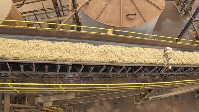 Conveyor sugar  alcohol mill, sugarcane bagasse, ethanol, energy