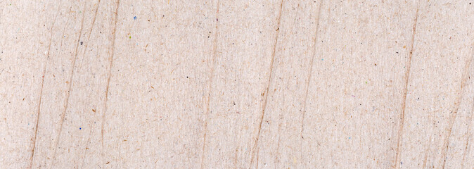 Strip of slightly crumpled undyed unbleached crepe paper, texture, background