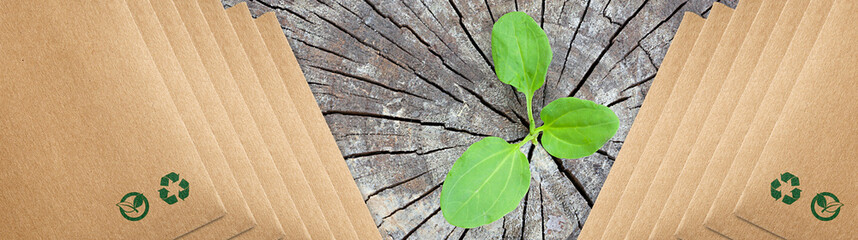 Renewable energy sources concept. Recycling paper bag brown shopping, that do not cause harm to the environment. Rising sprout from old wood and symbolizes the struggle for new life. Eco packaging. - 409882644