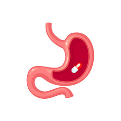Pill in human stomach. Vector cartoon flat icon illustration isolated on white background.