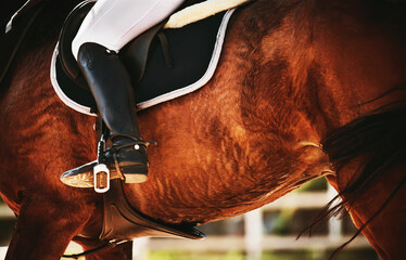 Close-up of the legs of a rider in a stirrup, who rides a bay fast horse, illuminated by sunlight....