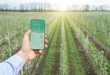 Agriculturer using mobile phone app to control temp, humidity, life cycle of harvest cultivation outside. Smart garden