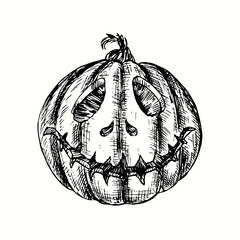 Halloween pumpkin Jack-o-lantern. Ink black and white drawing. Vector illustration