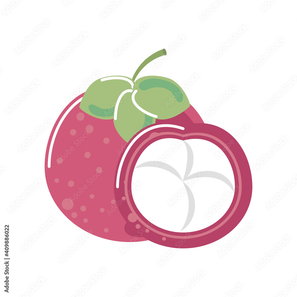 Wall mural mangosteen fresh fruit icon isolated style - Wall murals