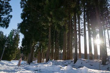 女性と雪と自然