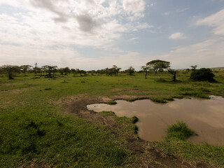 Fototapeta na wymiar Tanzanian national parks ecosystem