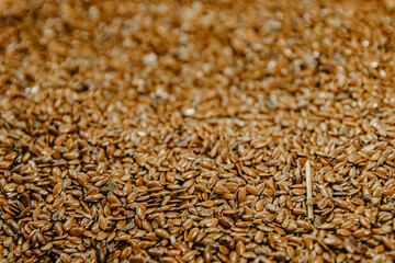 Obraz premium sifted flax seeds are poured