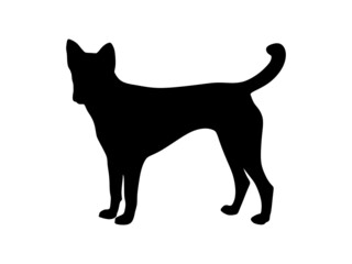 Dog silhouette. Black and white 