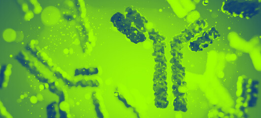 Antik&ouml;rper: Konzept K&ouml;rperabwehr und Impfung