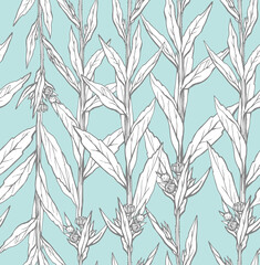 Seamless pattern with hand drawn wild flower with leaves. Vector illustration. Botanical pattern for textiles and wallpapers.
