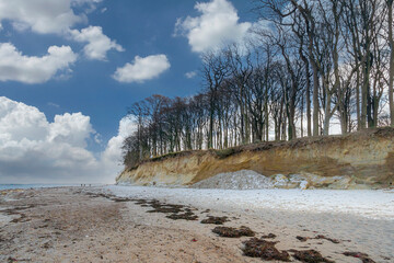 Gespensterwald Heiligendamm, Mecklenburg-Vorpommern, Deutschland