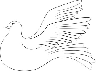 Flying white dove on white background as symbol of peace