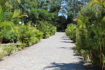 Fototapeta premium path in the park