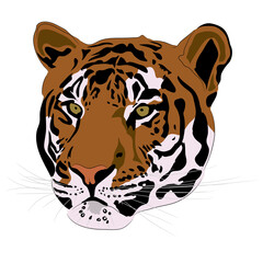 Low poly design. Tiger illustration.