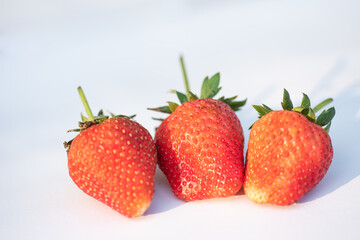Close up strawberry on white background.