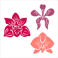 Orchid collection. Hand drawn colorful sketch of tropical flowers and leaves isolated on white background. Vector illustration