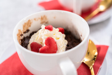 Chocolate mug cake