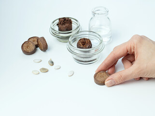 Tools, pressed ground for seedlings, seeds. Gardening at home. Growing plants at home. Selective focus