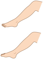 足　ふくらはぎ　外側内側