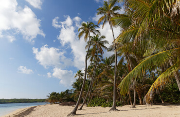 The picturesque Caribbean beach , Martinique island, French West Indies.