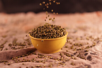 Raw Organic moong bean heap in white Bowl with selective focus on Mung dal (Vigna radiata) aka...
