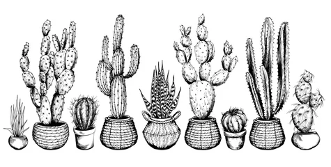 Foto op Canvas Set of potted cactus plants. © JeannaDraw