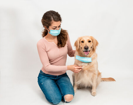 Close up image White golden retriever. Female woman in medical protected face mask disinfects dogs paws with a sanitizer. A dog smile looks at camera with mask isolated on white background. Pets hygie
