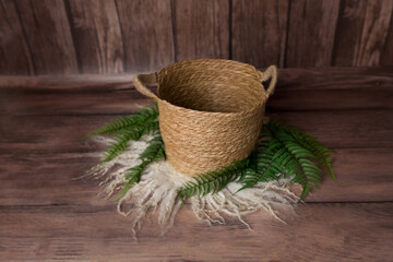 the basket for the photo shoot is decorated with fern branches. basket for newborn photo sessions. background decor of the photo zone