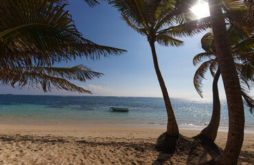 The picturesque Caribbean beach , Martinique island, French West Indies.