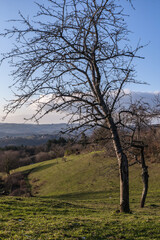 Fototapeta na wymiar Voutezac (Corrèze, France) - Vue panoramique depuis Sajueix