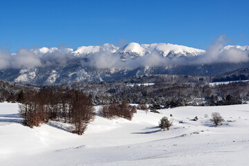 Fototapeta na wymiar French winter landscapes. Panoramic view of mountain peaks and canyons. Vercors Regional Natural Park.