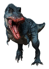 3D Rendering Tyrannosaurus Rex on White