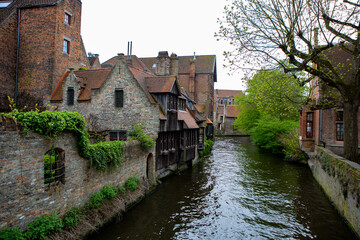 Fototapeta na wymiar houses at canal in brugge