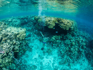 Fototapeta na wymiar Young man dive at colorful coral reef in Red sea