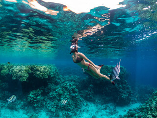 Young woman snorkeling at coral reef in tropical sea - obrazy, fototapety, plakaty
