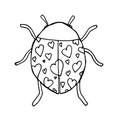 Doodle ladybird with hearts print. Cute lovely insect isolated.