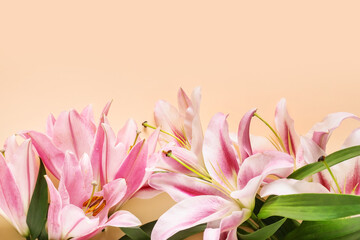 Beautiful lilies on color background